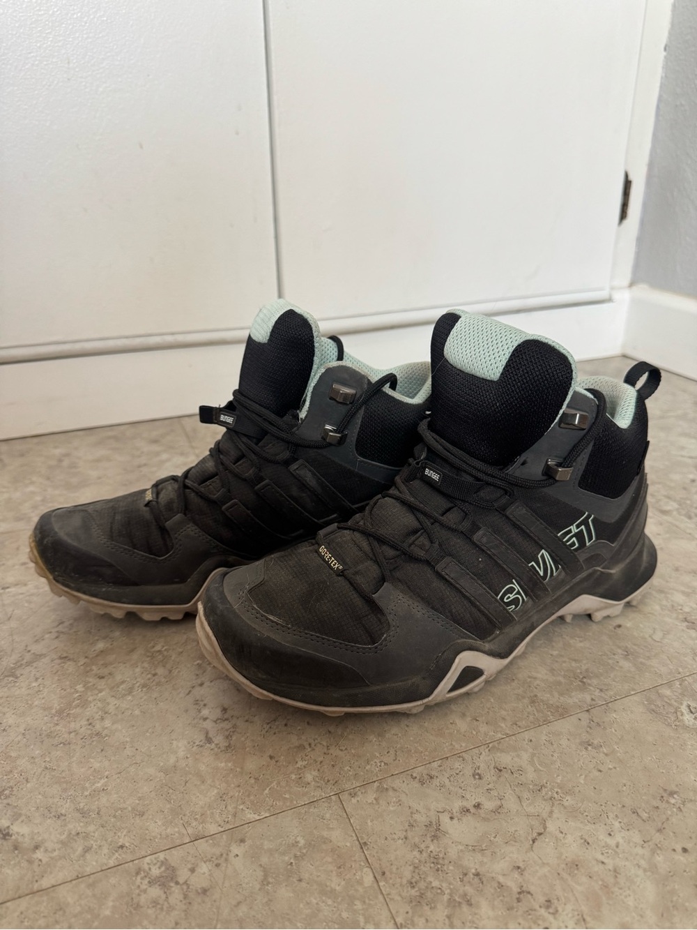 Adidas Terrex Swift Gortex